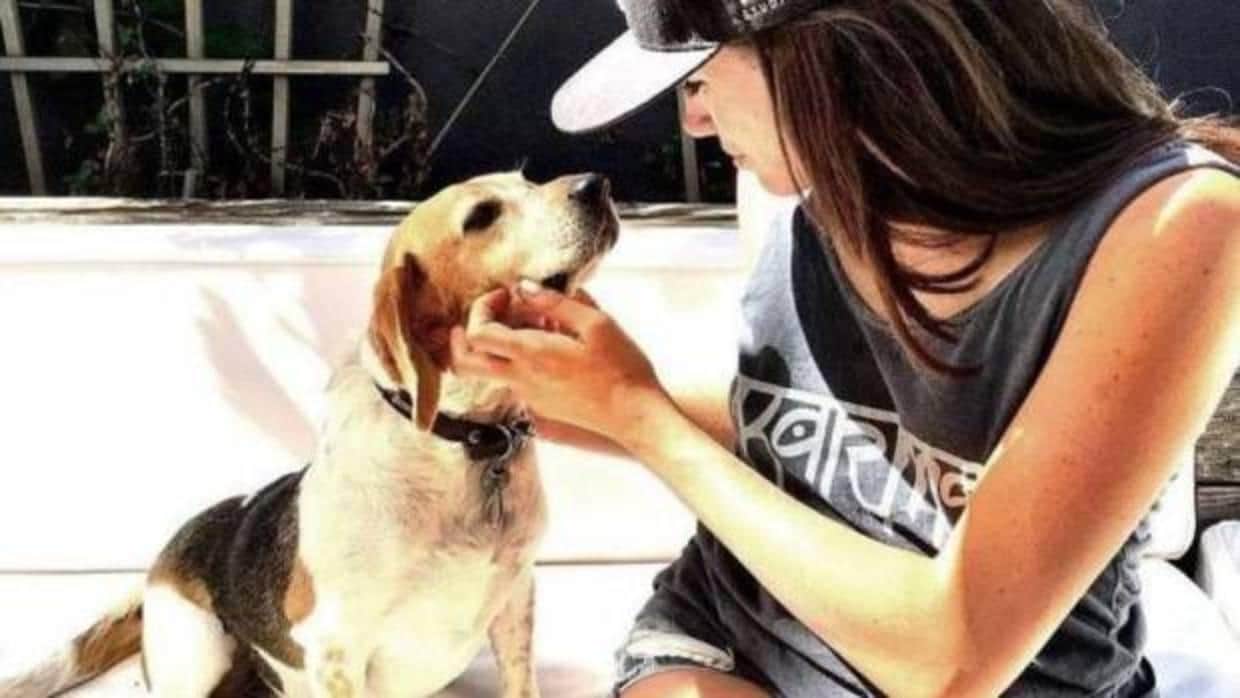 De perro callejero a tener un «título nobiliario»: el beagle de Meghan Markle