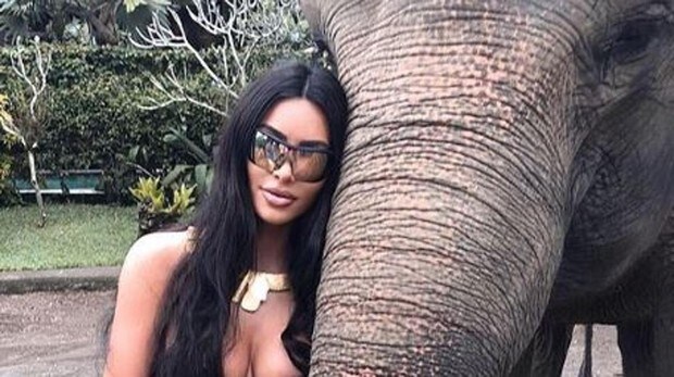 Las duras consecuencias que ha sufrido Kim Kardashian tras posar con un elefante