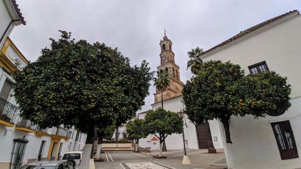 Carnes ibéricas, setas y castañas ponen el sabor de la escapada otoñal por Constantina