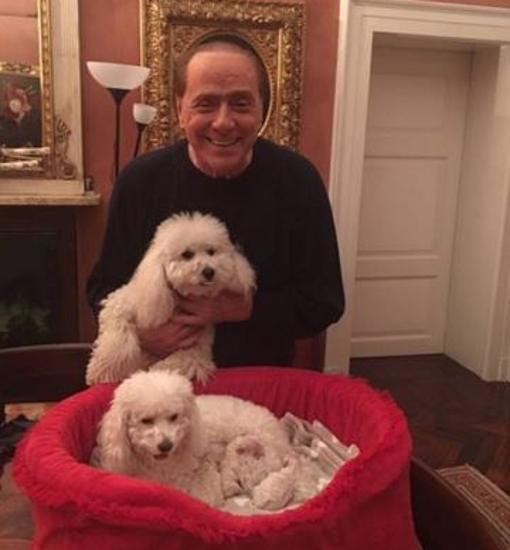 Berlusconi con sus caniches