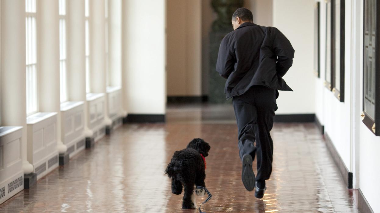 Barack Obama, en 2009, con uno de sus perros. Sus mascotas fueron las últimas que hubo en la Casa Blanca