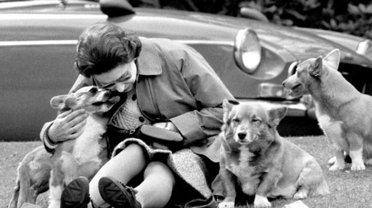 Isabel II con sus perros