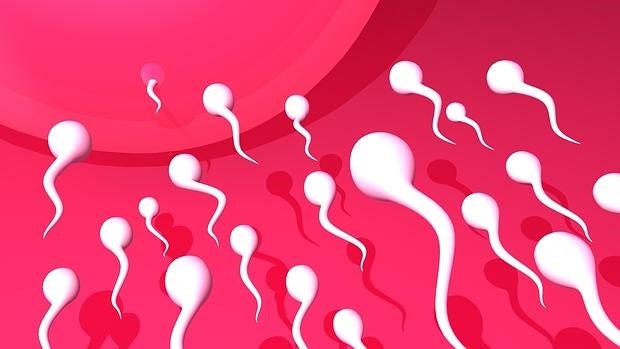 Cerca del 50% de los hombres en edad fértil presenta mala calidad seminal