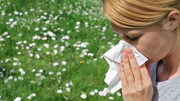 Diez claves para prevenir los síntomas de la alergia