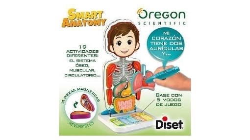 Smart Anatomy