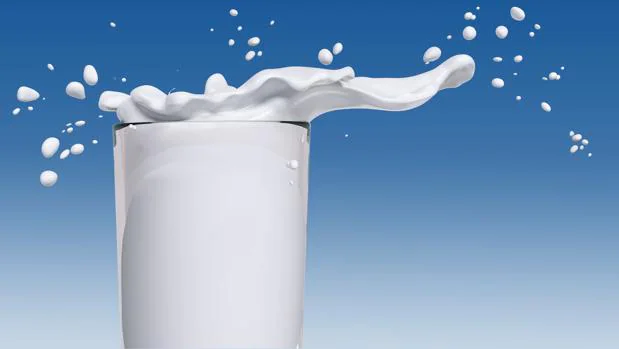 «La leche sí que es un súperalimento, aunque la moda no lo considere así»
