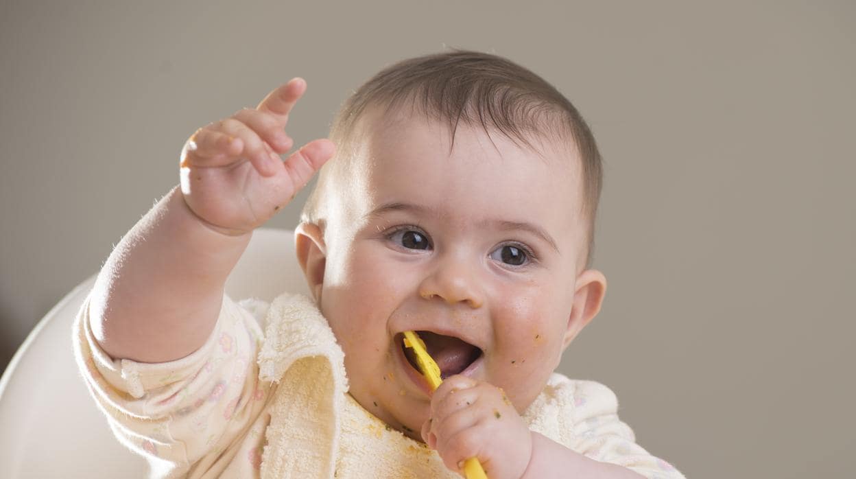 ¿Por qué son importantes los cereales para los bebés?