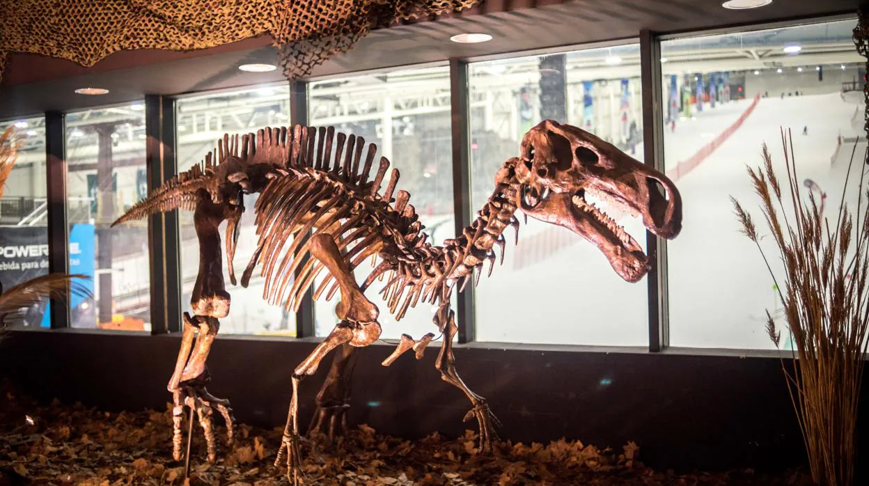 Una de las exposiciones más importantes de dinosaurios llega a Madrid