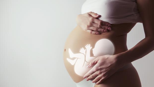 Los bebés dan patadas en la tripa de su madre para explorar su propio cuerpo