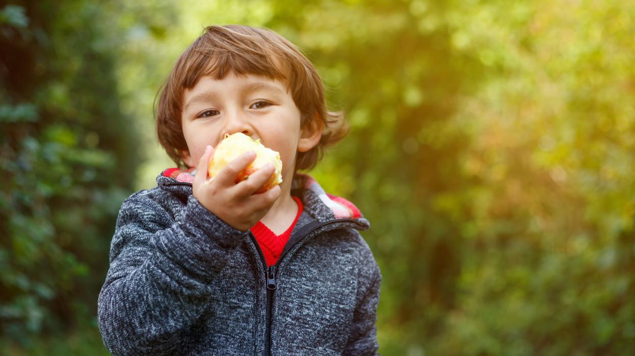 La fruta suele ser la elección más adecuada en el segundo desayuno que toman en el colegio