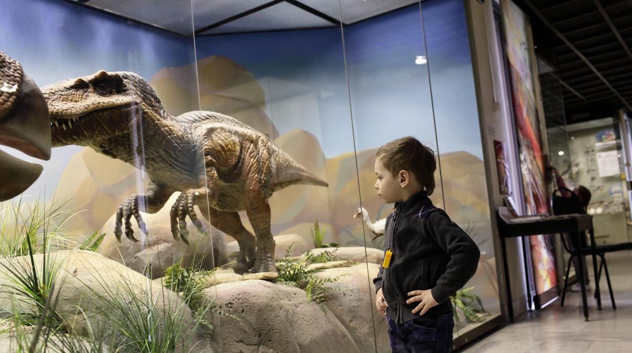 Pasión por los dinosaurios: no es una obsesión, es una oportunidad de  aprendizaje