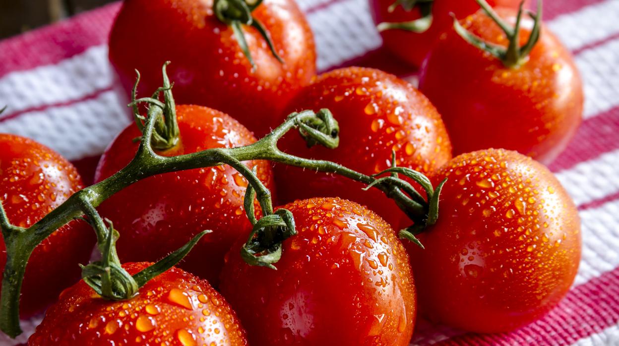 Los tomates contienen licopeno, que es un fotoprotector solar