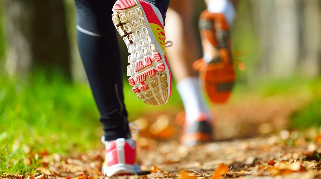 Los expertos aconsejan ir de menos a más en la práctica de running adaptando la intensidad y la cantidad de ejercicio a las características personales