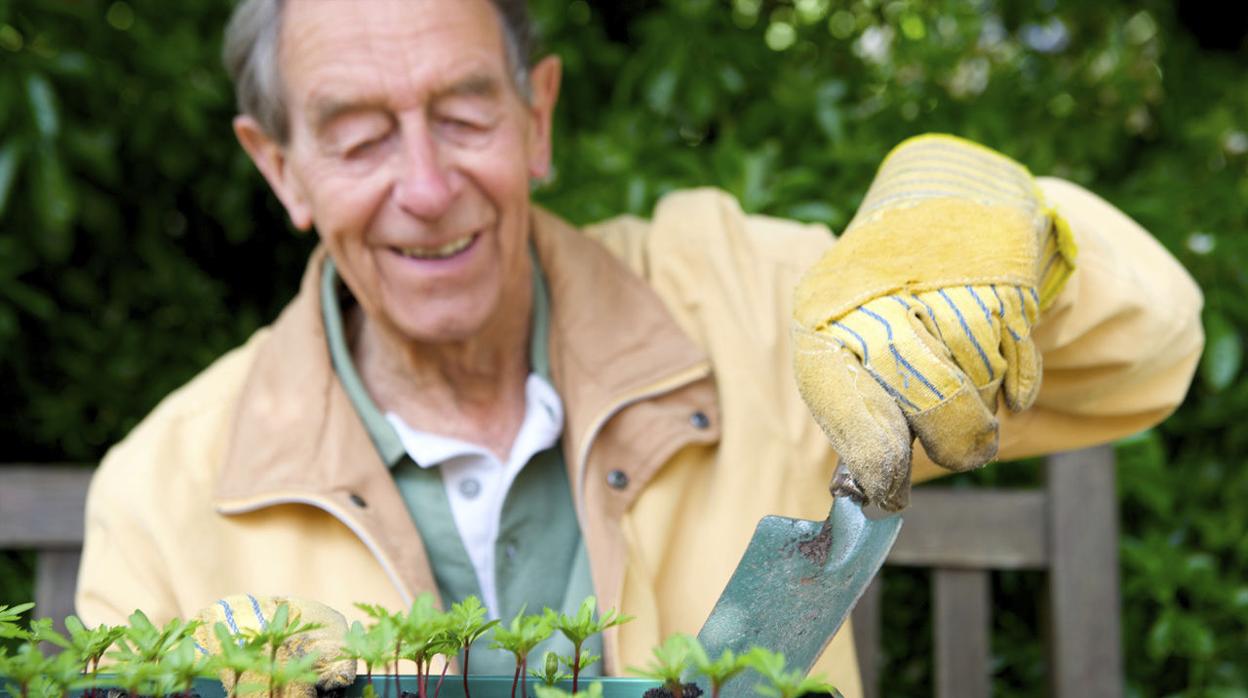 Jardinería: la actividad que ayuda a los mayores a estar en forma física y mental