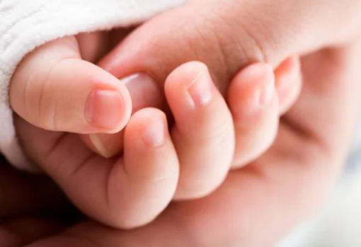 Las 20 preguntas clave de los tratamientos de infertilidad