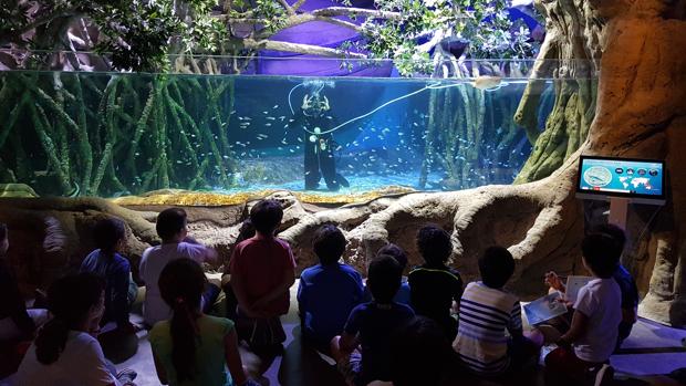 El Acuario de Sevilla reta a los escolares a cuidar los océanos