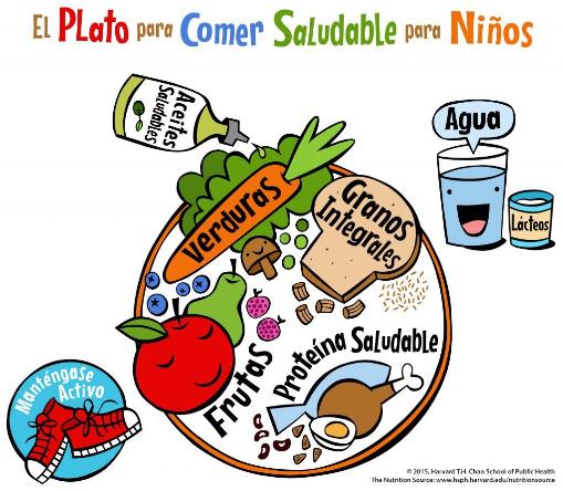 Claves para una alimentación sencilla, saludable y económica durante el confinamiento