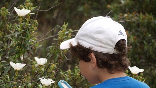 Tras el confinamiento crece el interés por las escuelas que imparten sus clases en plena naturaleza