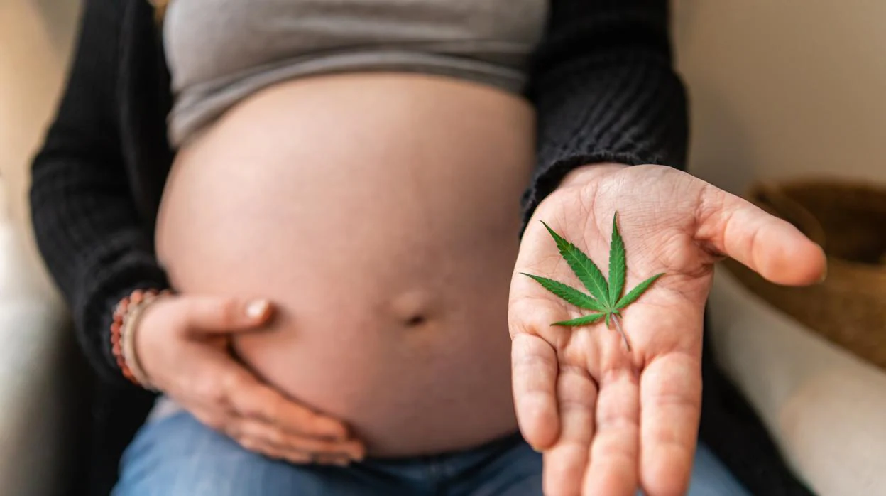 El consumo de marihuana durante el embarazo aumenta el riesgo de que los niños tengan problemas de sueño