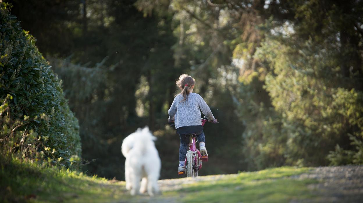 Así ayuda a los más pequeños tener un perro en casa