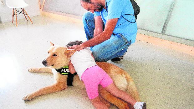Una familia pide ayuda para su hijo: necesitan conseguir un perro de servicio para niños con autismo