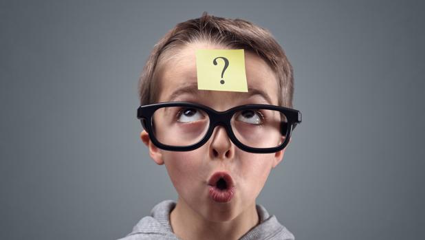 Una dieta pobre en calcio, fósforo y potasio daña zonas del cerebro «críticas» para la memoria y el aprendizaje infantil