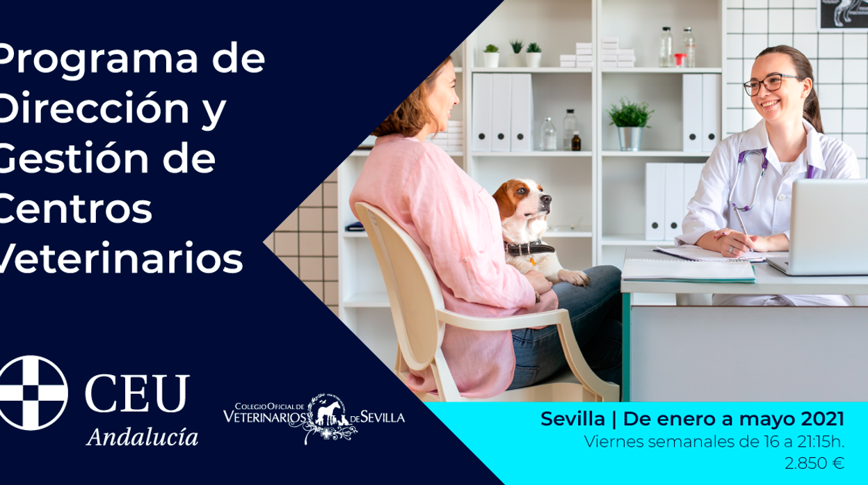 CEU Andalucía y el Colegio de Veterinarios de Sevilla presentan su Programa de Dirección y Gestión de Centros Veterinarios