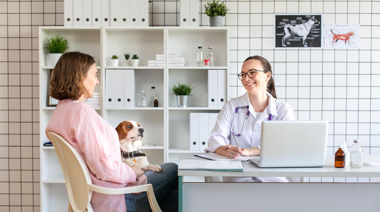 CEU Andalucía y el Colegio de Veterinarios de Sevilla lanzan la I edición del Programa de Dirección y Gestión de Centros Veterinarios