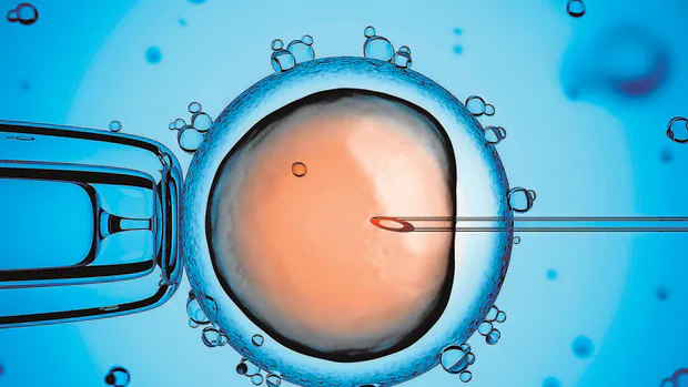 ¿Qué ocurre con los embriones congelados guardados tras un proceso de fertilidad?
