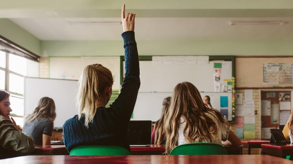 ¿Es importante que los niños vivan toda su etapa escolar en un mismo centro educativo?