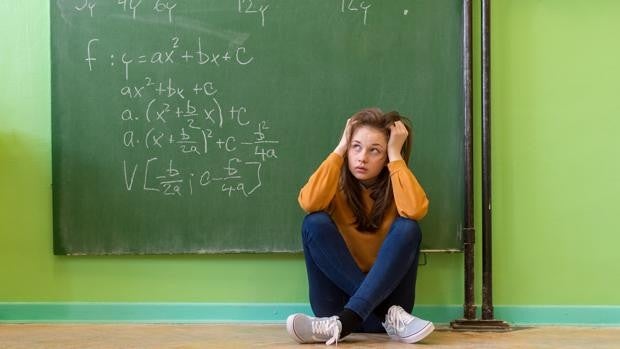 «Los estudiantes no solo deben ver la utilidad de las ciencias y matemáticas fuera de clase, sino entenderlas»