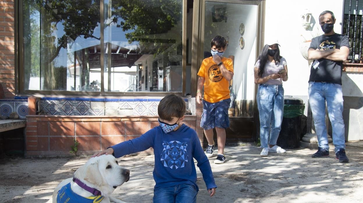 David, con el perro Wasabi