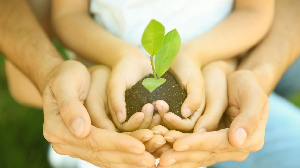 En España viven 23.000 menores en residencias infantiles como medida de protección