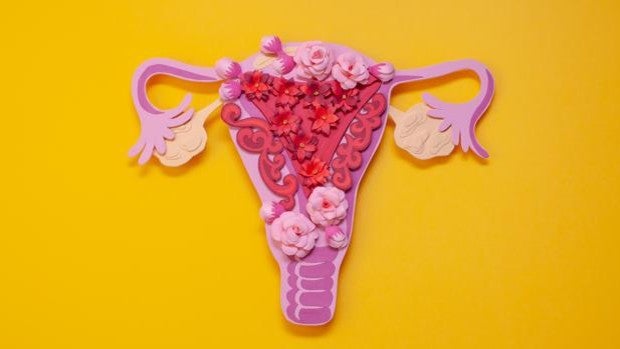 Un 40 % de las mujeres con endometriosis pueden sufrir infertilidad