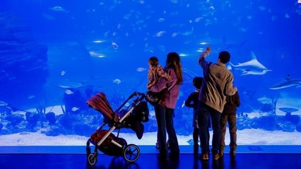 Un refrescante verano para toda la familia en Atlantis Aquarium