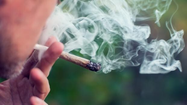 Marihuana y adolescentes: estos son los efectos a largo plazo que deben conocer