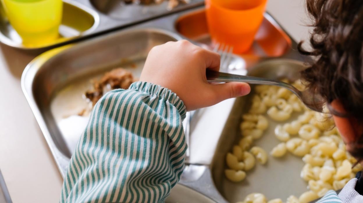 «Limitar al 4 % el consumo de carne en los menús escolares podría afectar al desarrollo cerebral infantil»