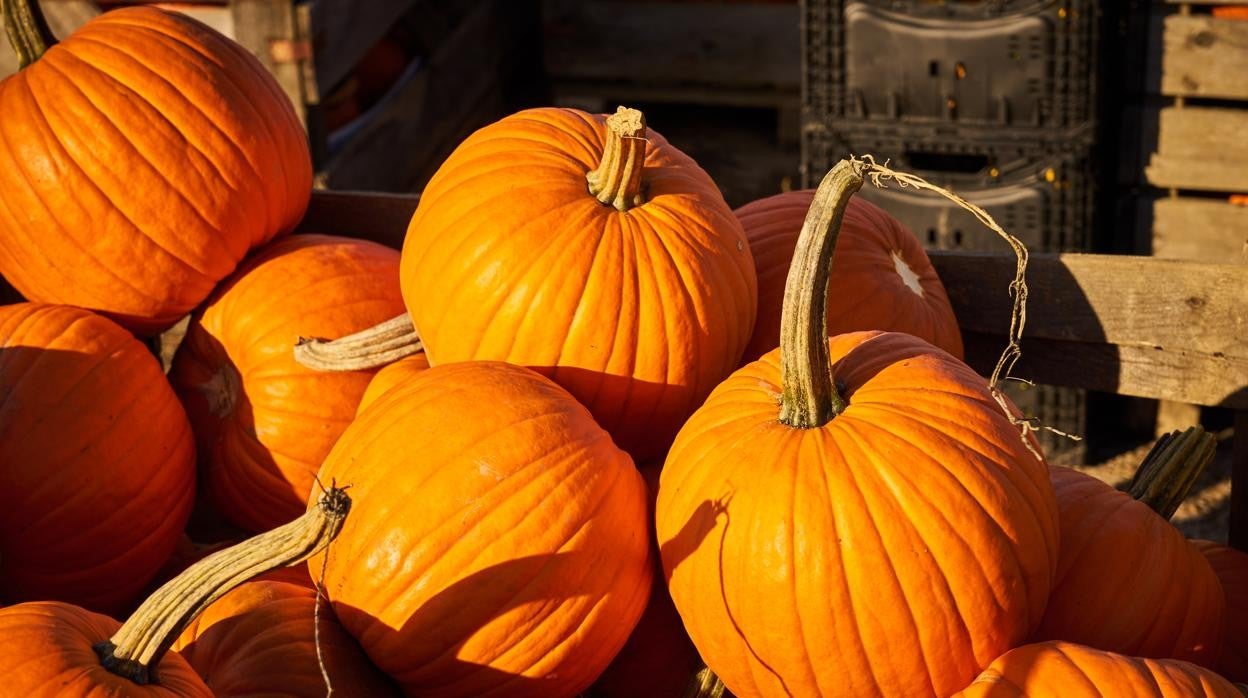 ¿Cómo educar en valores a través de Halloween?