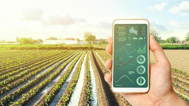 El Instituto de Posgrado CEU Andalucía apuesta por la formación de calidad en el sector agroalimentario