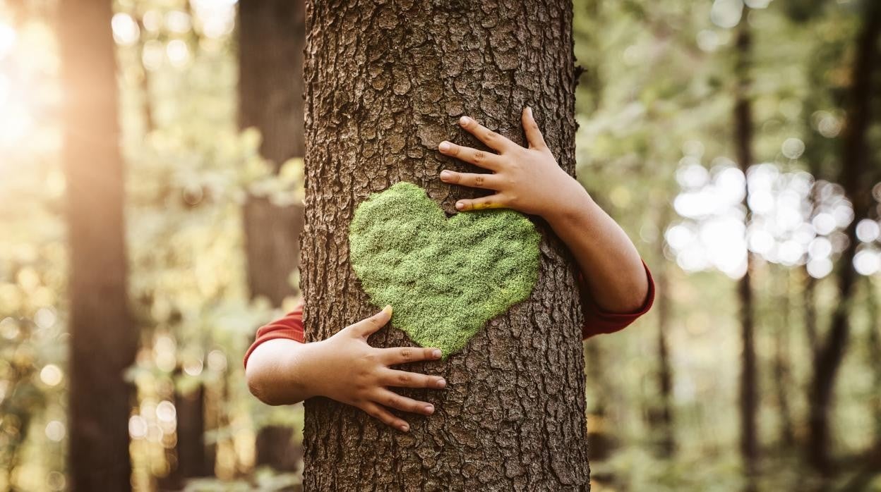 Los niños que viven cerca de espacios verdes sufren menos «estrés oxidativo»