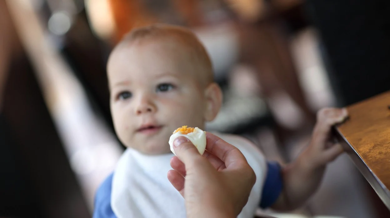 Huevos, cuántos deben tomar los niños y los adolescentes