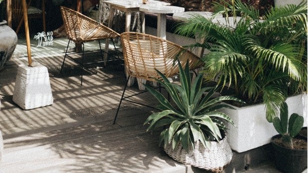 Plantas y jardineras para hacer de tu jardín un rincón mágico