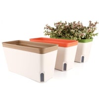 Imagen - Hidrojardinera con riego automático T4U