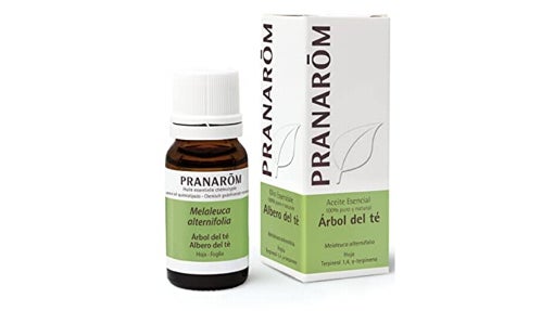 Aceite esencial de árbol de té