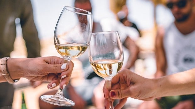 5 productos para conservar el vino en buenas condiciones