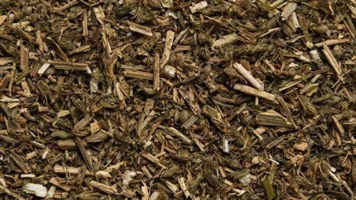 Hierba gatera Nepeta Cataria: ¿Cuáles son las mejores compras del mercado?