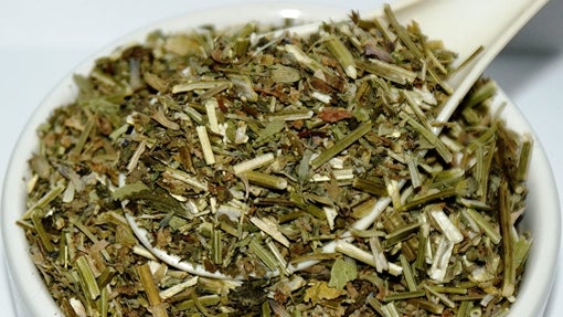 Hierba gatera Nepeta Cataria: ¿Cuáles son las mejores compras del mercado?