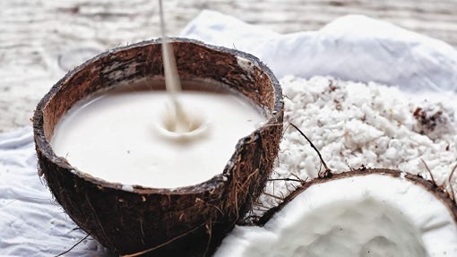 Champú de leche de coco OGX