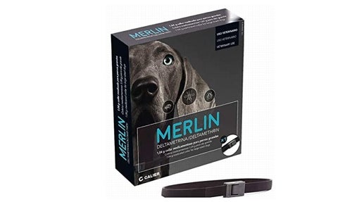 Collar antiparasitario para perros