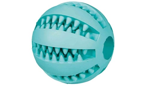 Pelota dental